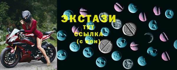 стаф Аркадак