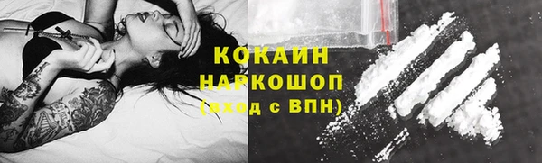 стаф Аркадак