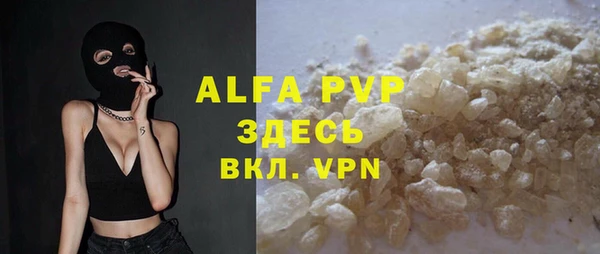 стаф Аркадак
