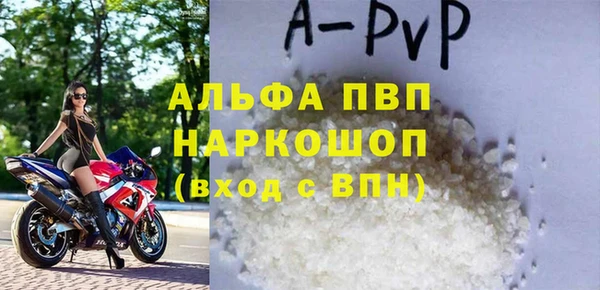 стаф Аркадак