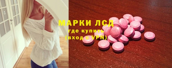 стаф Аркадак